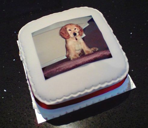 Maxi_Photo_Cake_231109.jpg
