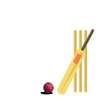 S05 - Cricket