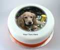 Single Image Photo Cake